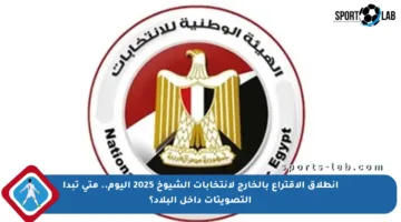 انطلاق الاقتراع بالخارج لانتخابات الشيوخ 2025 اليوم.. متى تبدأ التصويتات داخل البلاد؟